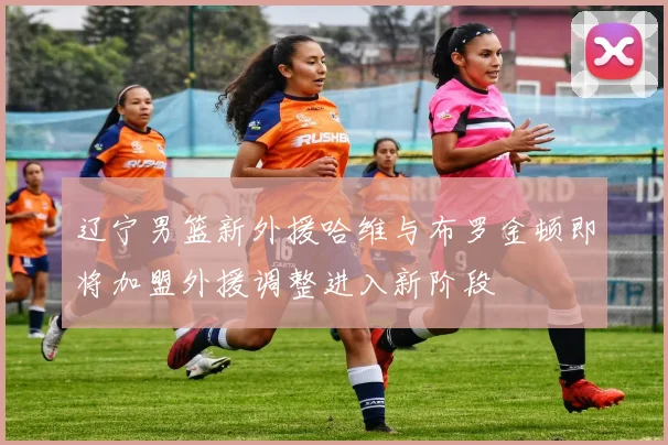 辽宁男篮新外援哈维与布罗金顿即将加盟外援调整进入新阶段